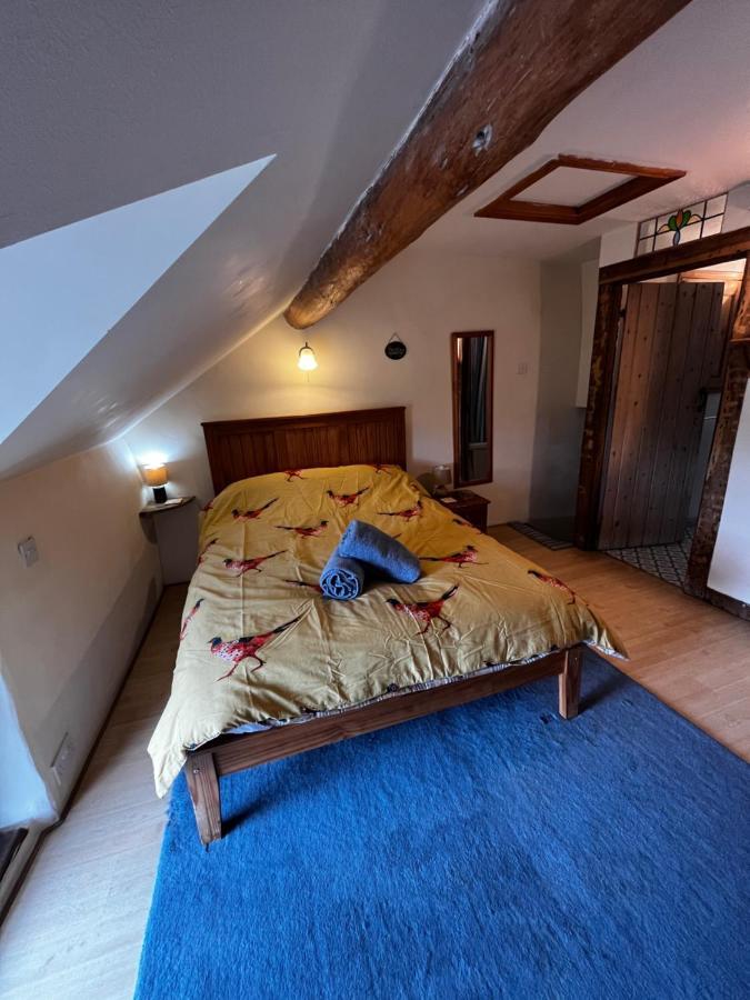 Annie'S Cottage Llanrhaeadr-ym-Mochnant Eksteriør billede