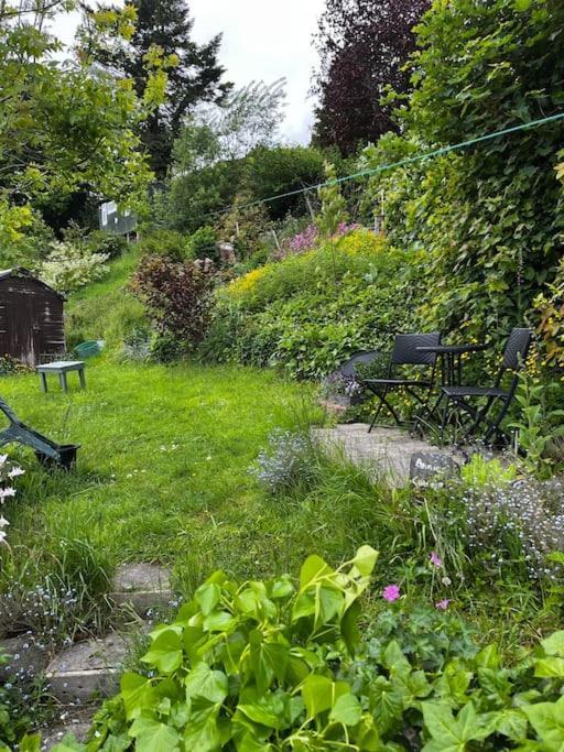 Annie'S Cottage Llanrhaeadr-ym-Mochnant Eksteriør billede