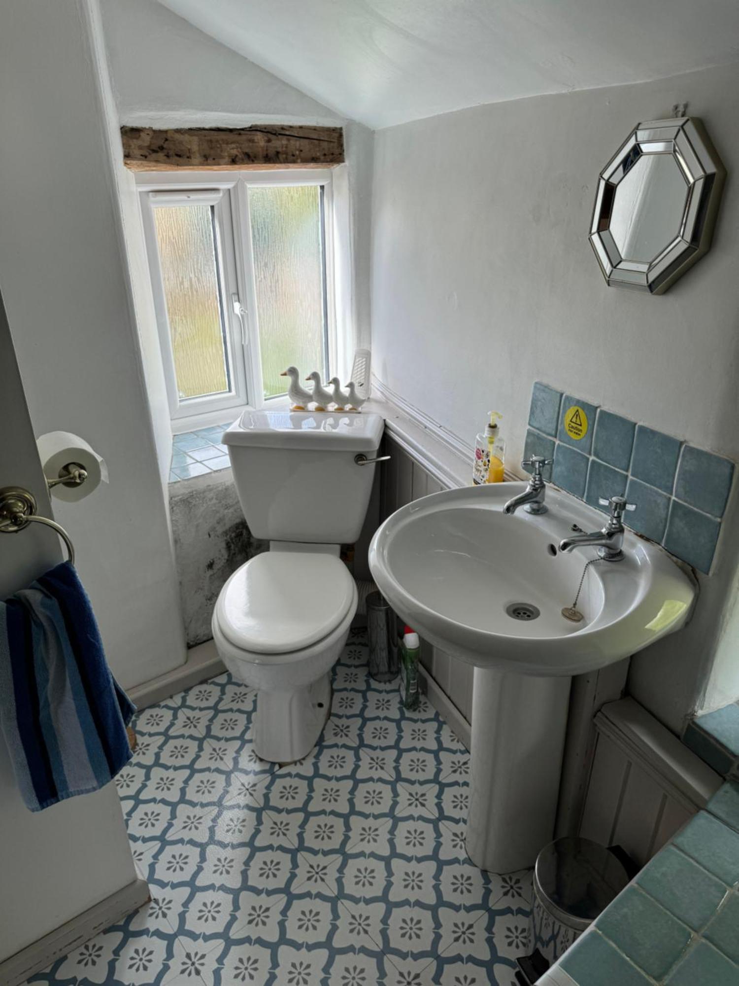 Annie'S Cottage Llanrhaeadr-ym-Mochnant Eksteriør billede
